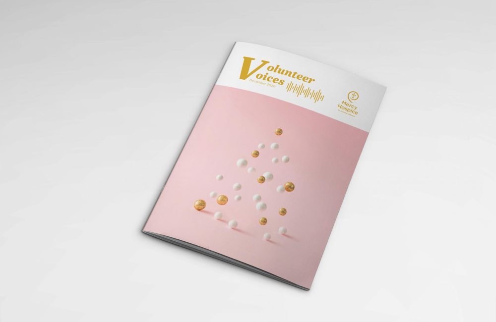 VOLUNTEER VOICES-newsletter-mockup-preview